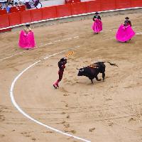 Pixwords The image with BULLFIGHTING