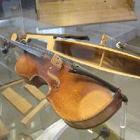 section, half, violin, instrument Markb120