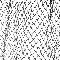 Pixwords The image with wire, net, football, fishing, white, rope Lou Oates - Dreamstime