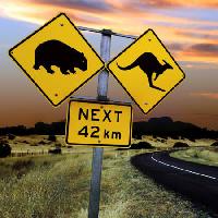 Pixwords The image with signs, bear, cangoroo, next, road, wil Ron Sumners - Dreamstime